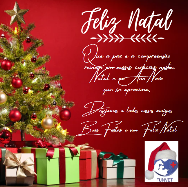 Grupo PET Enfermagem Jataí deseja a todos um Feliz Natal e Próspero Ano  Novo