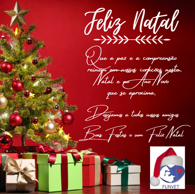 Desejamos a todos um Feliz Natal e Próspero Ano Novo!